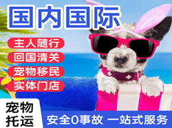 三亚航空邮寄国际宠物托运 【国